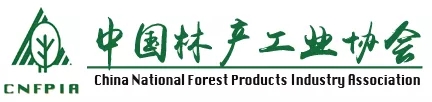 六台盒宝典资料大全2025 六台盒宝典资料大全2025