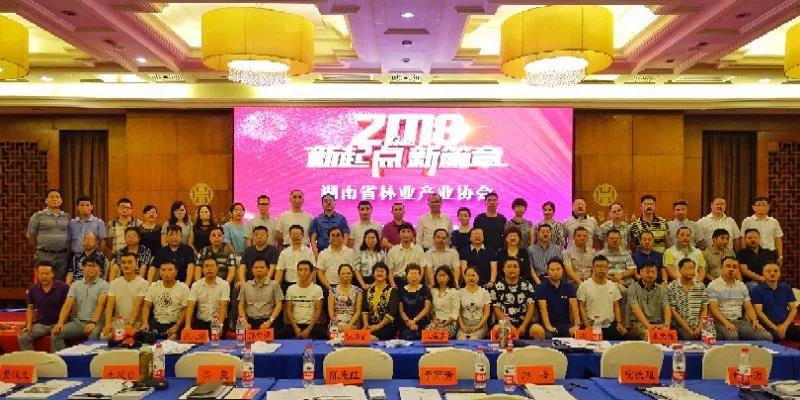 六台盒宝典资料大全2025 六台盒宝典资料大全2025