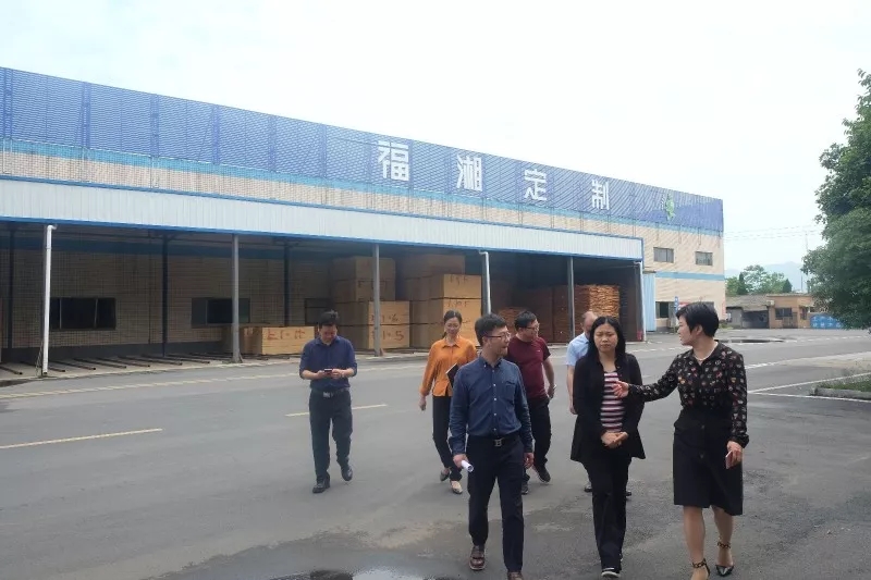 六台盒宝典资料大全2025 六台盒宝典资料大全2025