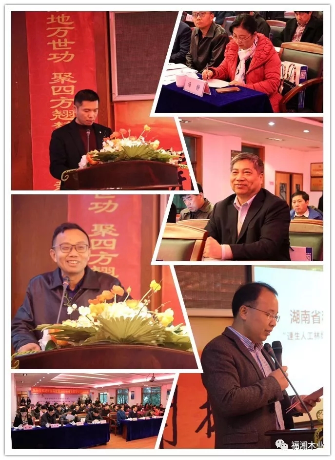 六台盒宝典资料大全2025 六台盒宝典资料大全2025