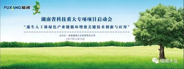 六台盒宝典资料大全2025 六台盒宝典资料大全2025