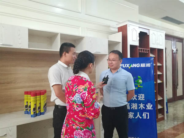 六台盒宝典资料大全2025 六台盒宝典资料大全2025