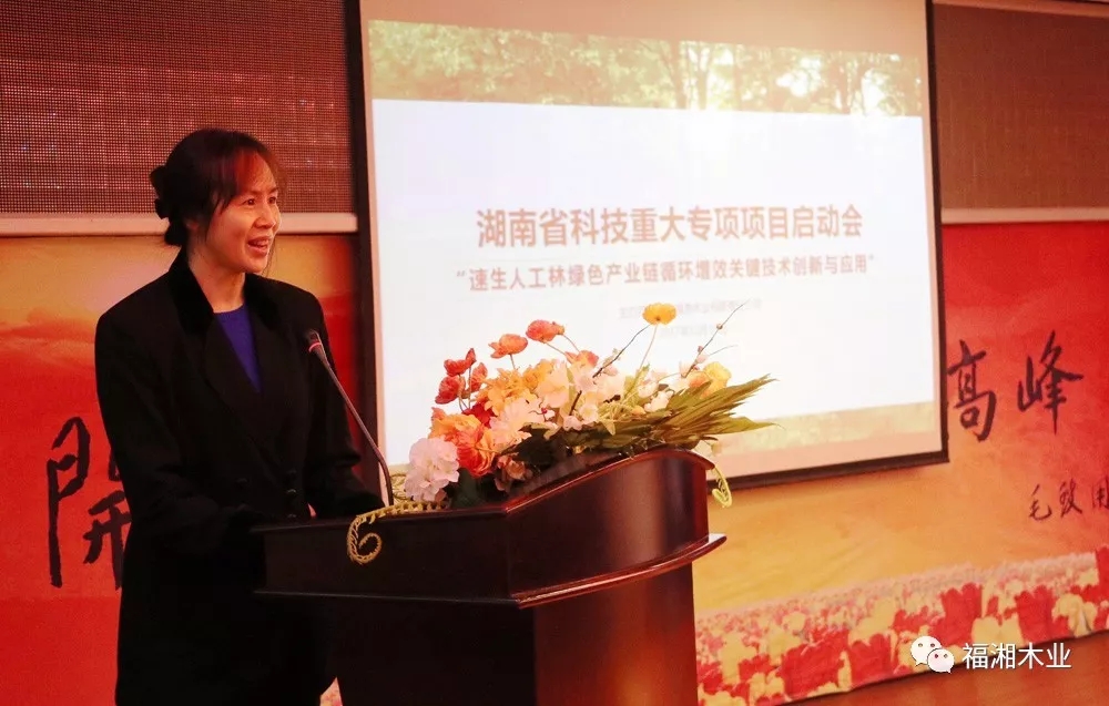 六台盒宝典资料大全2025 六台盒宝典资料大全2025