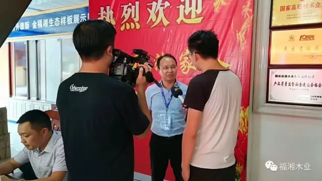 六台盒宝典资料大全2025 六台盒宝典资料大全2025