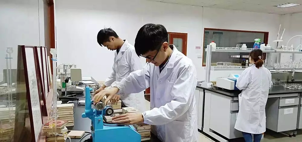 六台盒宝典资料大全2025 六台盒宝典资料大全2025